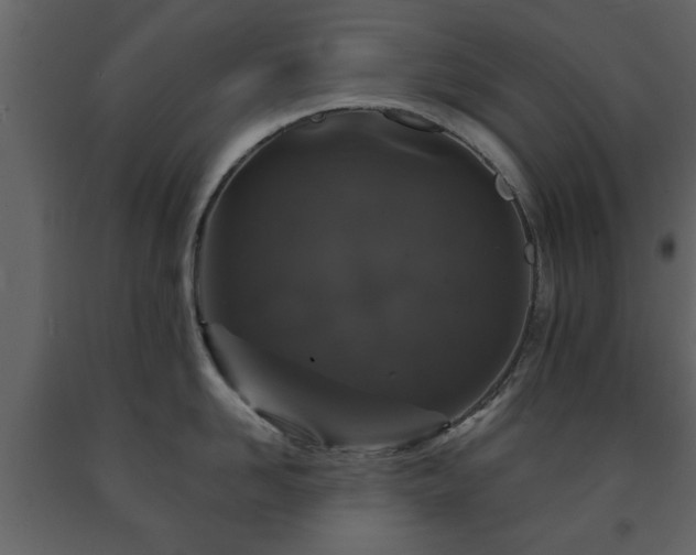 X0000091680958200708231414