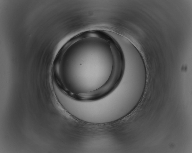 X0000091680960200708231414