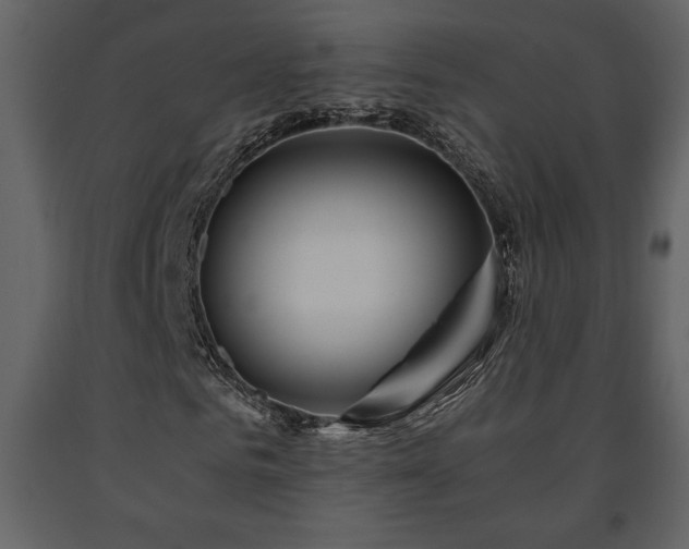 X0000091680961200708231413