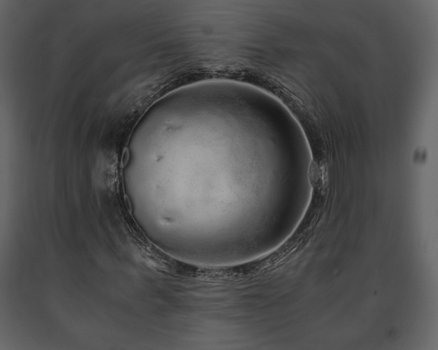 X0000091680963200708231413