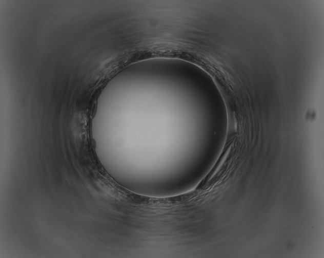 X0000091680964200708231413