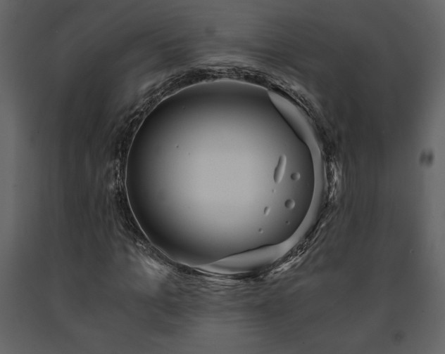 X0000091680965200708231413