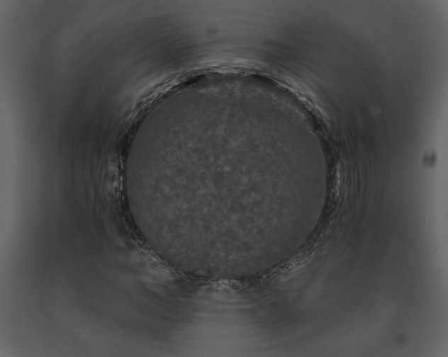 X0000091680966200708231413