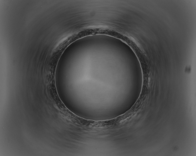 X0000091680967200708231413