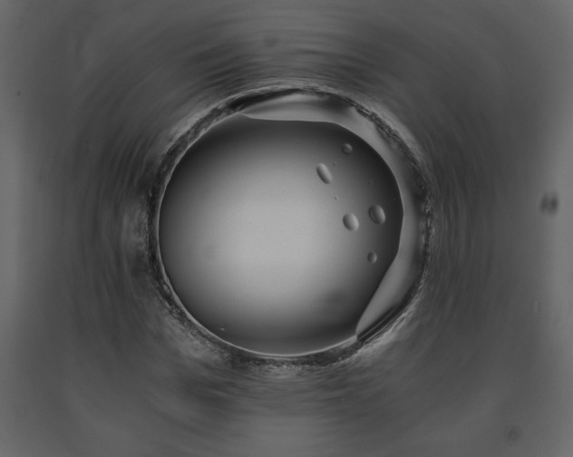 X0000091680969200708231413