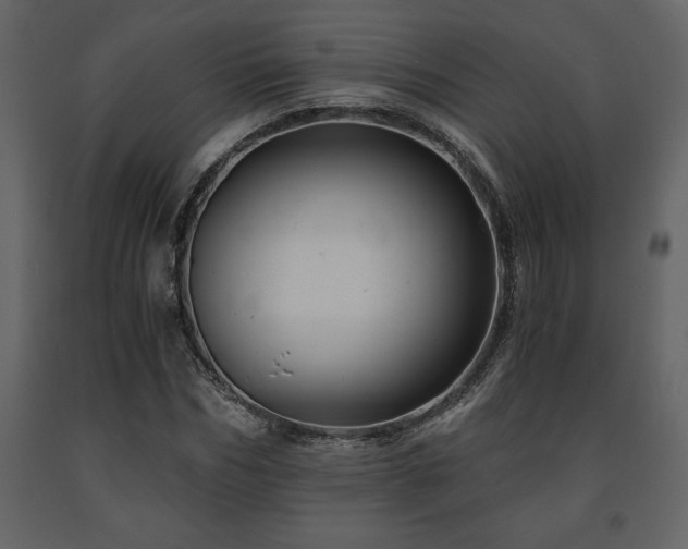 X0000091680970200708231413