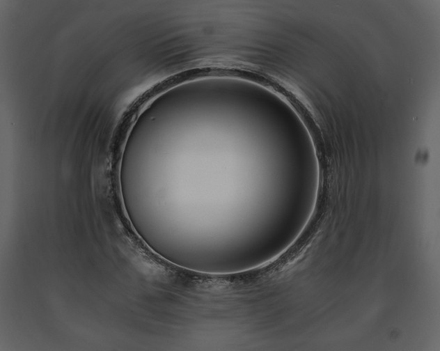 X0000091680971200708231413