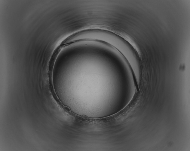 X0000091680972200708231413