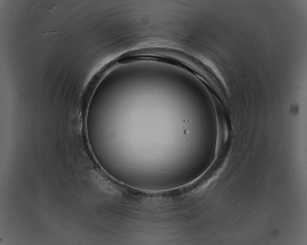 X0000091680973200708231413