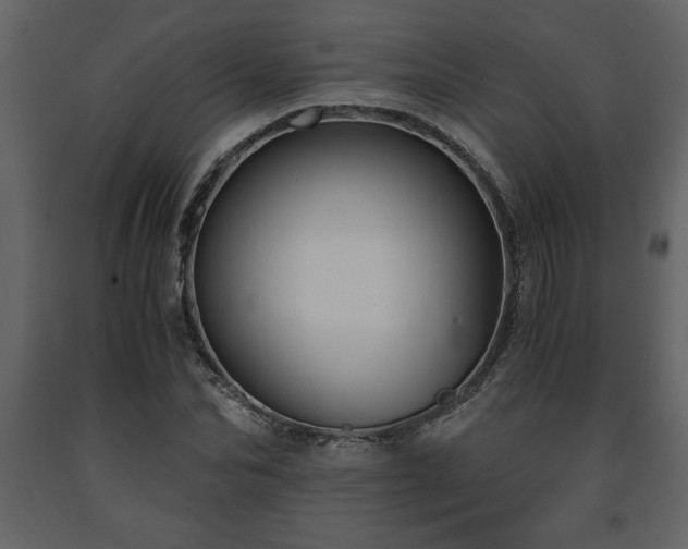 X0000091680974200708231413