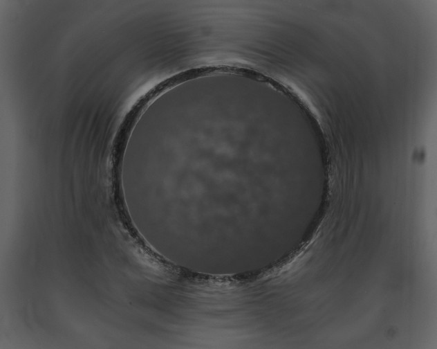 X0000091680975200708231413
