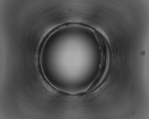 X0000091680976200708231413