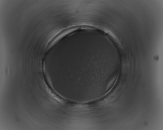 X0000091680977200708231413