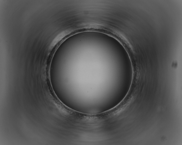 X0000091680978200708231413