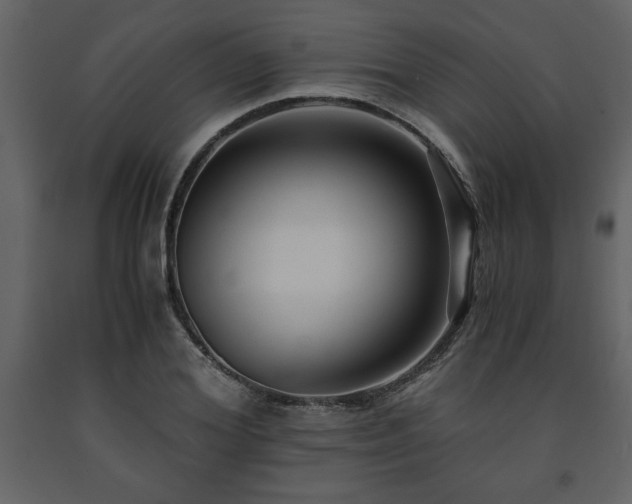 X0000091680980200708231413