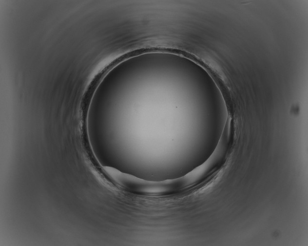 X0000091680981200708231413