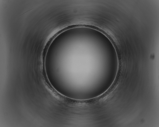 X0000091680982200708231413