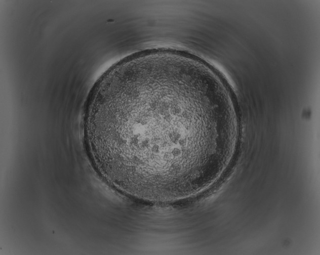 X0000091680983200708231412