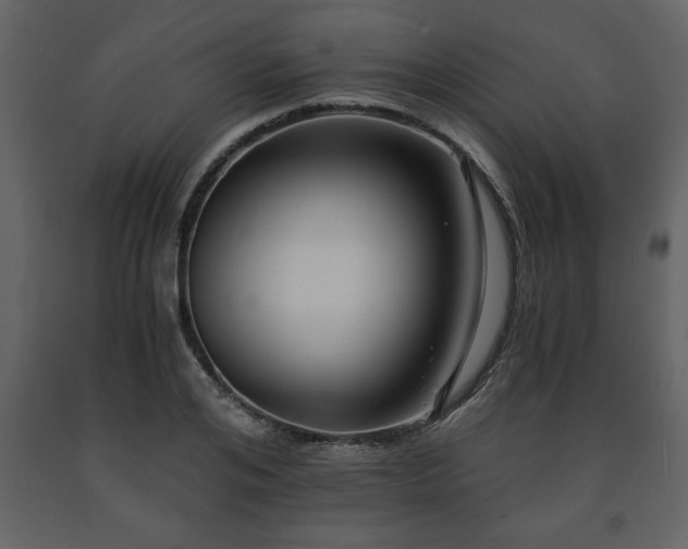 X0000091680984200708231412