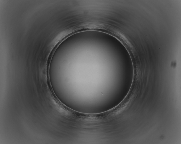 X0000091680986200708231412