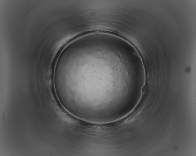 X0000091680987200708231412