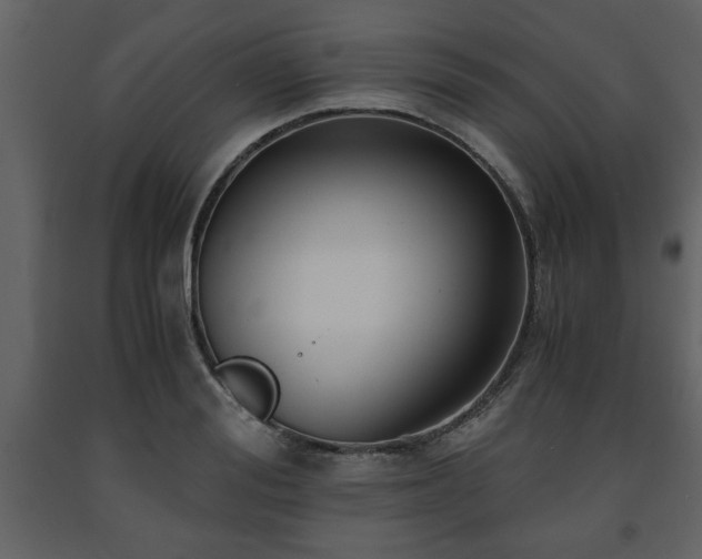 X0000091680988200708231412