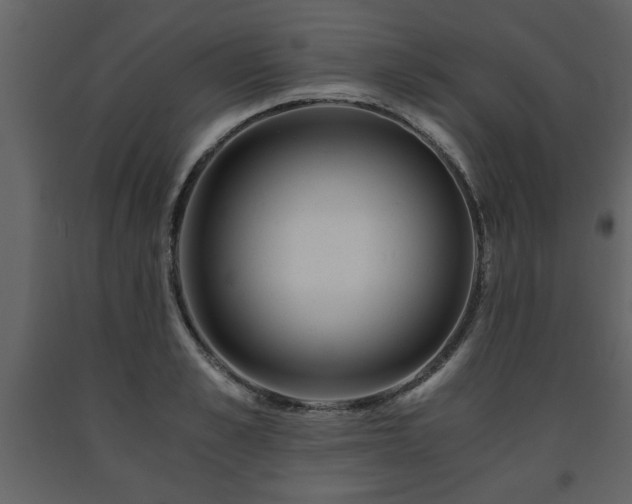 X0000091680989200708231412