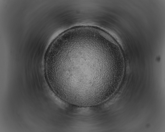 X0000091680990200708231412