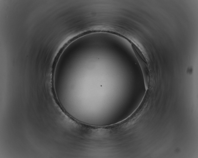 X0000091680992200708231412