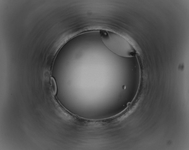 X0000091680993200708231412