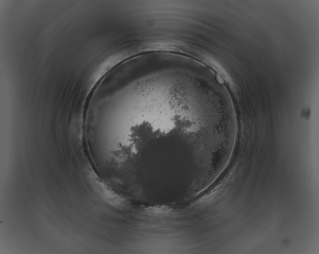 X0000091680994200708231412