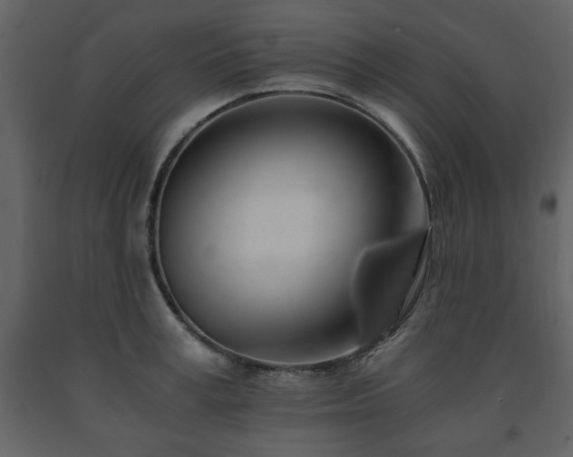 X0000091680995200708231412