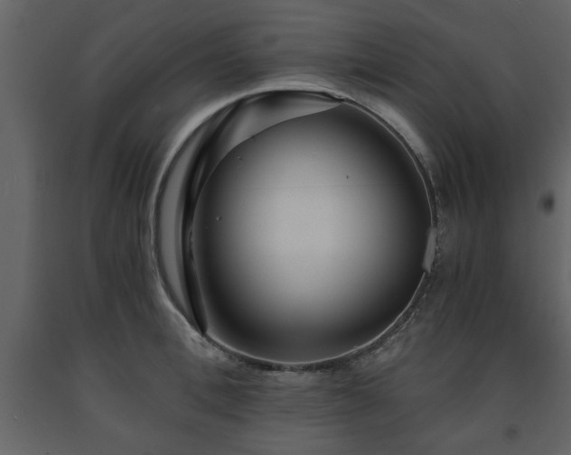 X0000091680996200708231412