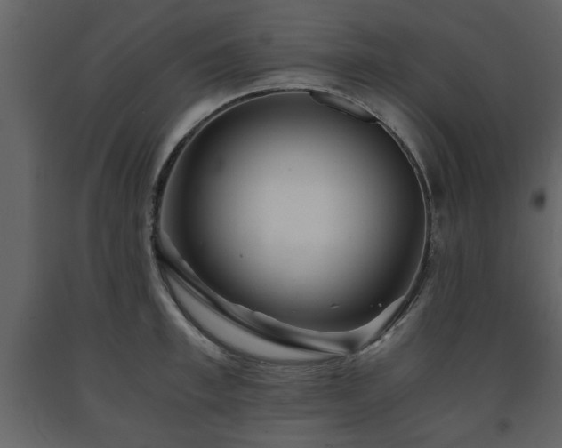 X0000091680997200708231412