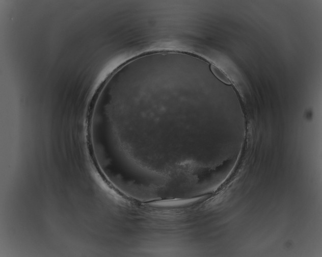 X0000091680998200708231412