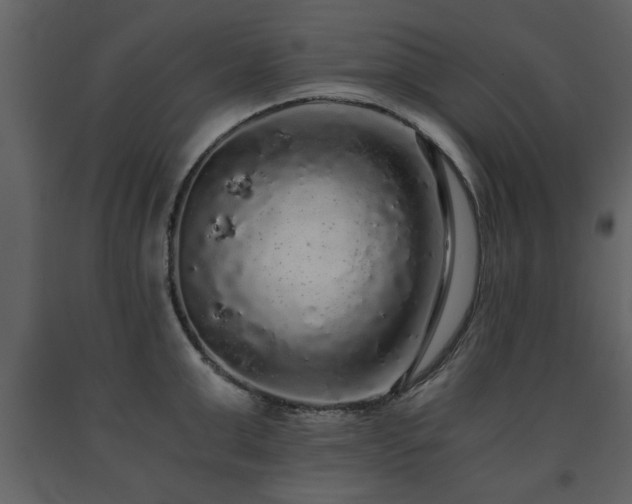 X0000091680999200708231412