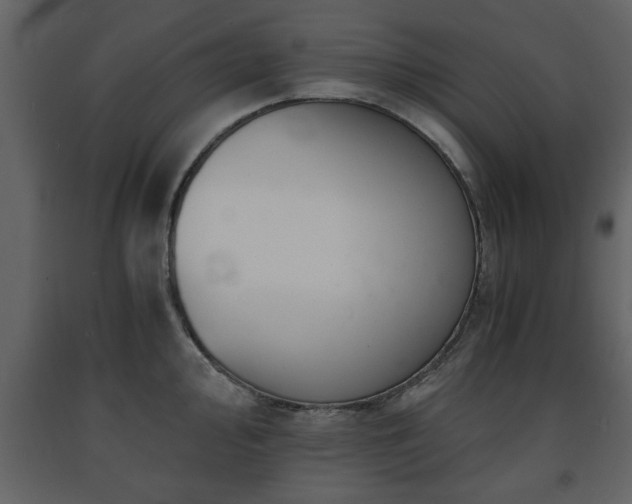 X0000091681000200708231412