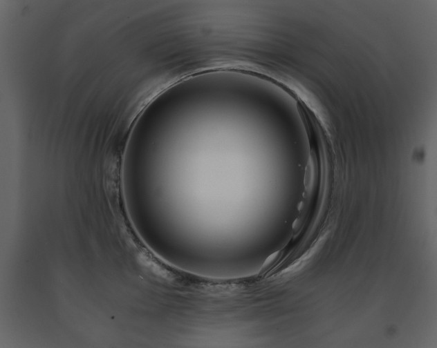 X0000091681001200708231412