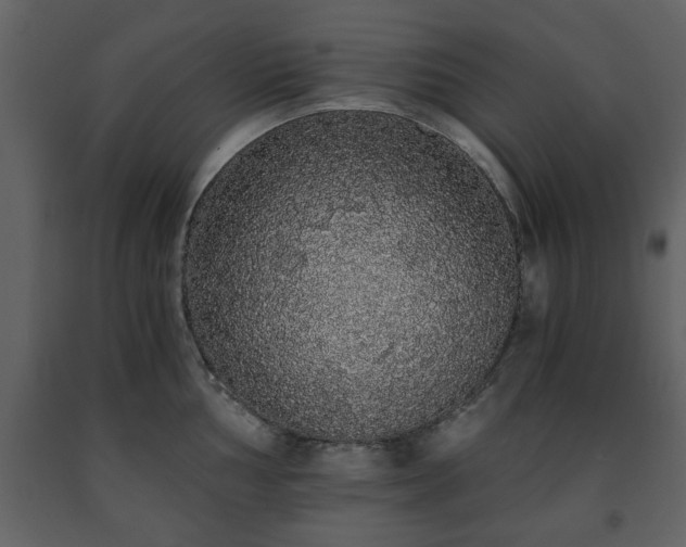 X0000091681002200708231412
