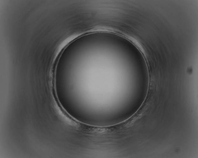 X0000091681003200708231412