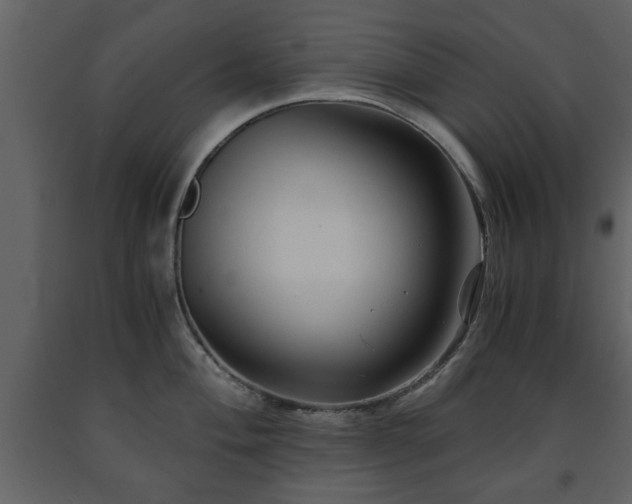 X0000091681004200708231412