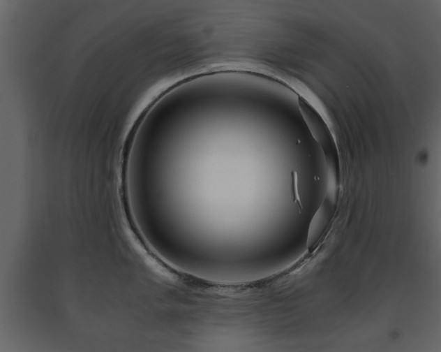 X0000091681005200708231412