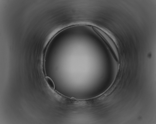 X0000091681006200708231412