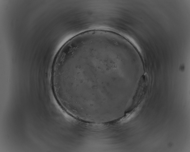 X0000091681007200708231412