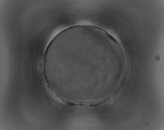 X0000091681008200708231412