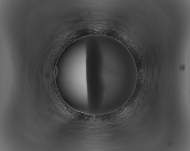 X0000091681009200708231411