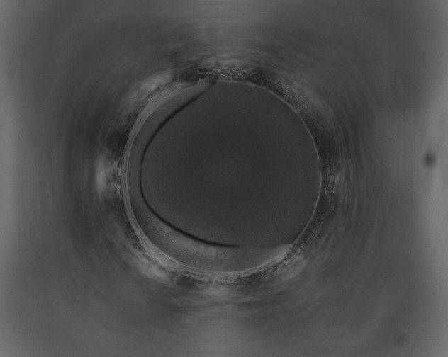 X0000091681010200708231411