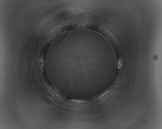 X0000091681011200708231411