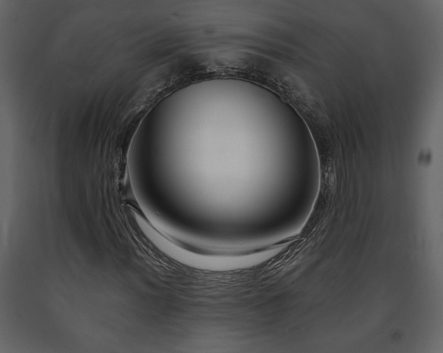 X0000091681012200708231411