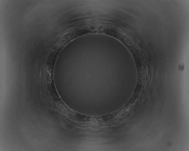 X0000091681013200708231411